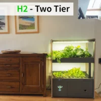 H2