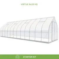 virtue menteşeli 1